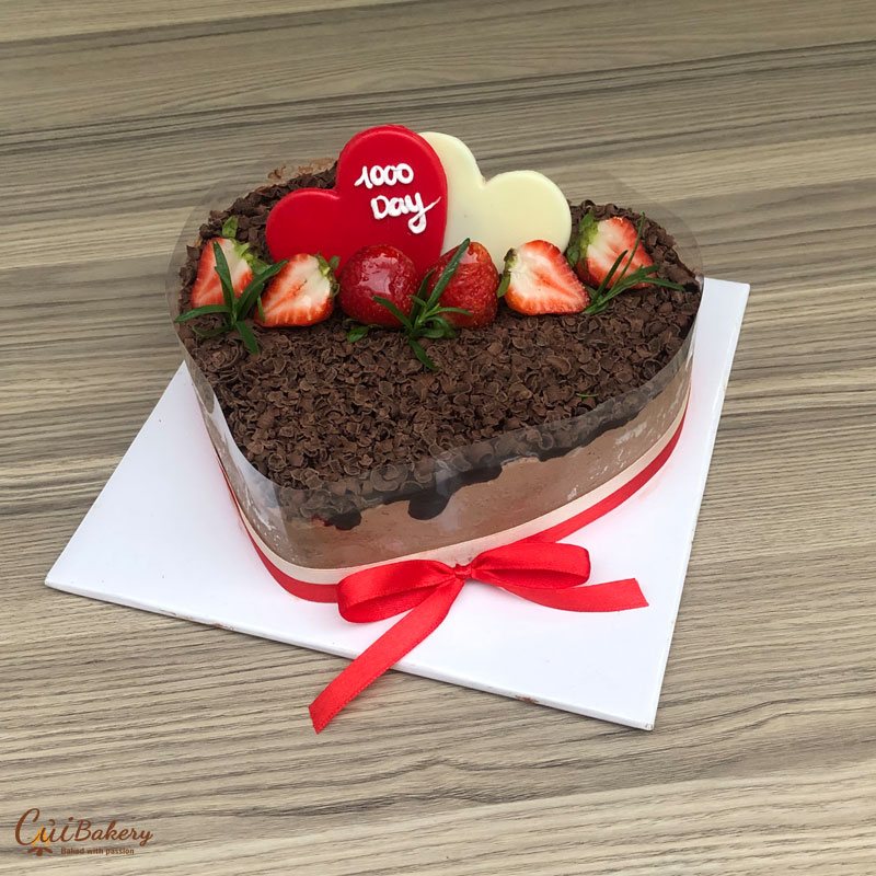 Mẫu Bánh Mousse Chocolate - MCL008