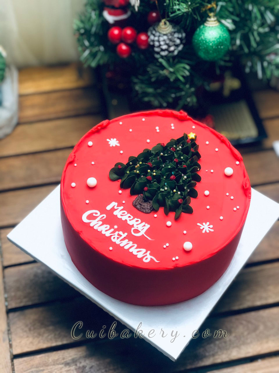 Mẫu Bánh Noel - MNE010