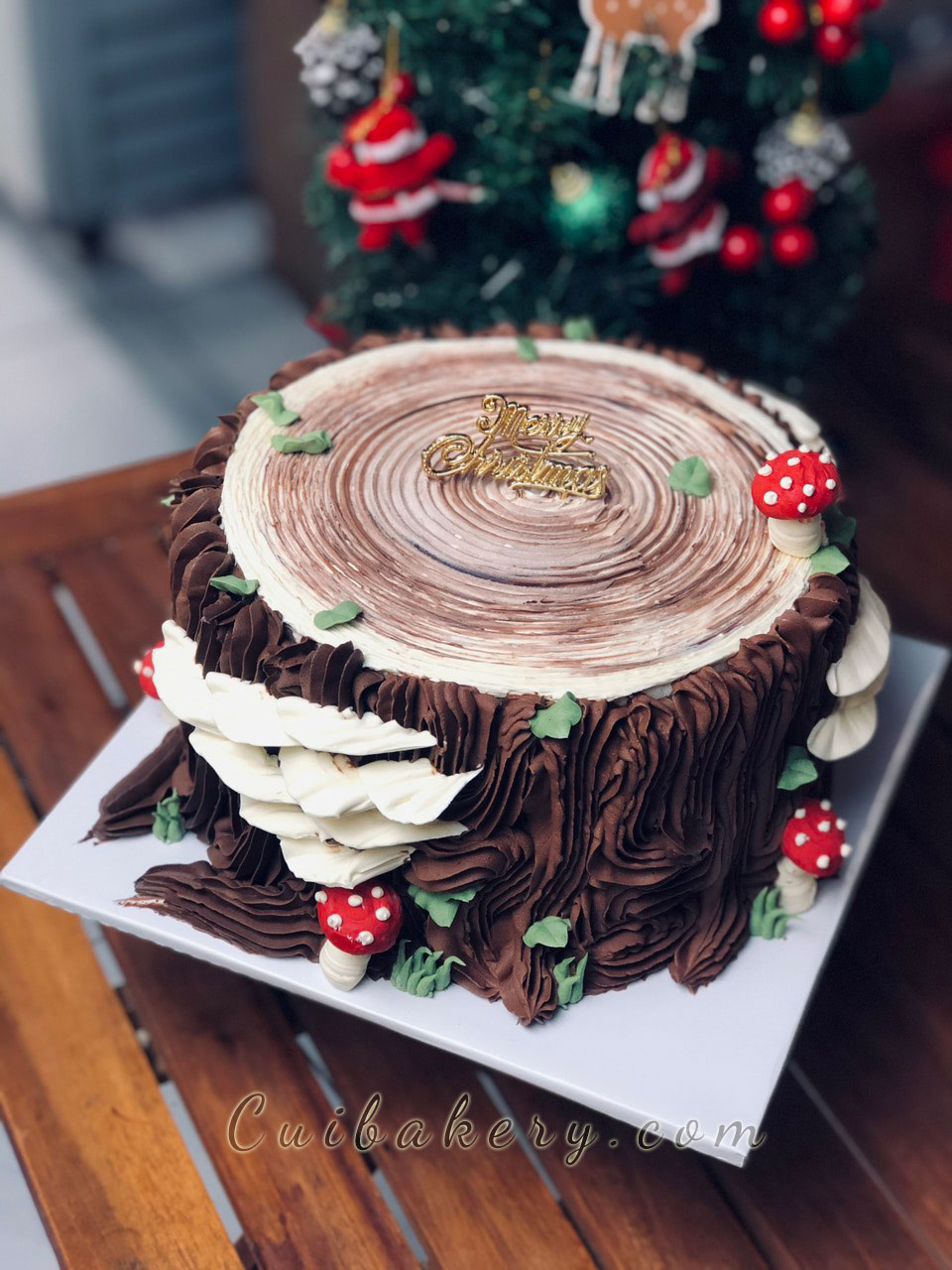 Mẫu Bánh Noel - MNE024